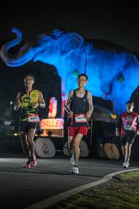 BIB: 
                            <button type="button" onclick="openModal(26531321)" class="btn btn-primary btn-sm float-right btn-popup" data-toggle="modal" data-target=".modal-high-quality">
                        <i class="fas fa-shopping-cart"></i> Add to Cart
                    </button>
                                            <button type="button" onclick="isThisMe(26531321, true)" class="btn btn-success btn-sm float-right btn-popup btn-isme hidden" data-toggle="tooltip" data-placement="bottom" title="นี่คือรูปของคุณใช่ไหม คลิกที่นี่เพื่อเอาเข้าอัลบั้ม">
                        <i class="fas fa-plus"></i> Add to album
                    </button>
                    <button type="button" onclick="isThisMe(26531321, false)" class="btn btn-warning btn-sm float-right btn-popup btn-isnotme hidden">
                        <i class="fas fa-ban"></i> Remove from album
                    </button>